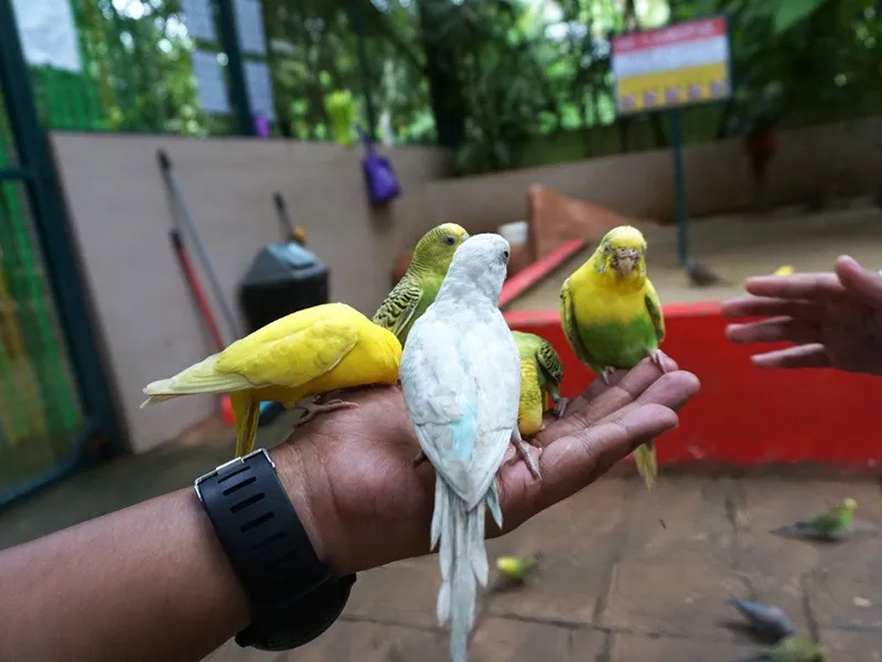 Langkawi Wildlife Park
